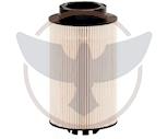 Fuel Filter 10.1006